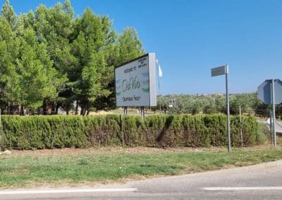 Oleum Maris - Olive Oil