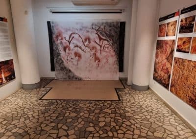Gallery “C8”