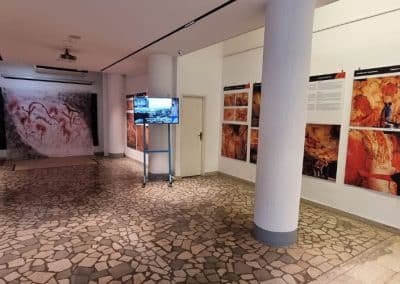 Gallery “C8”