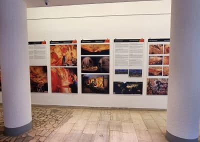 Gallery “C8”
