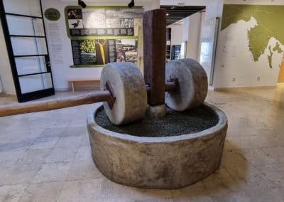 Istrian Olive Oil Museum Pula
