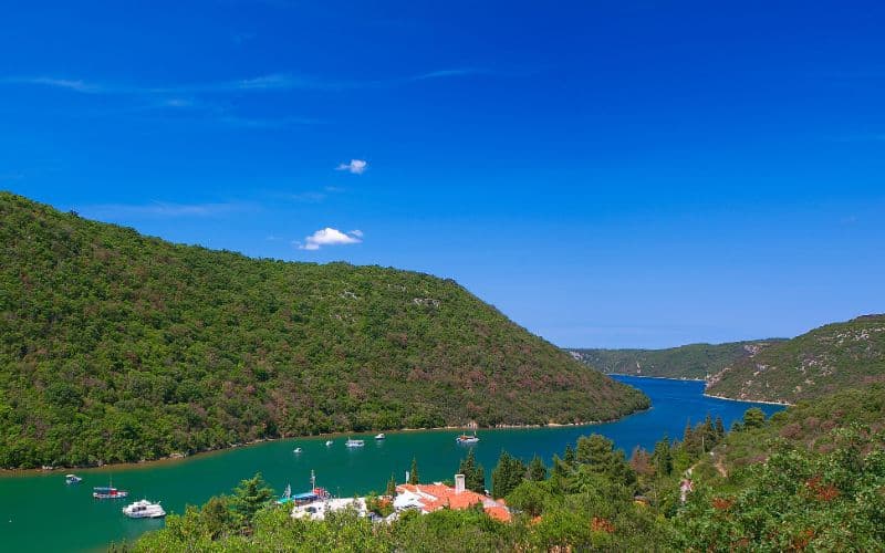 Limski fjord