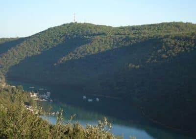 Limski fjord