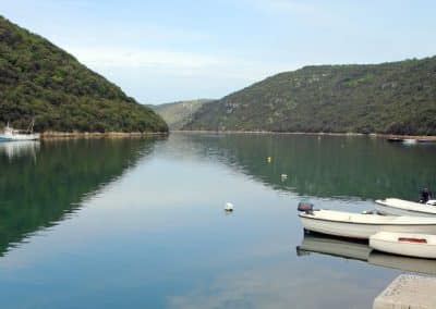 Limski fjord