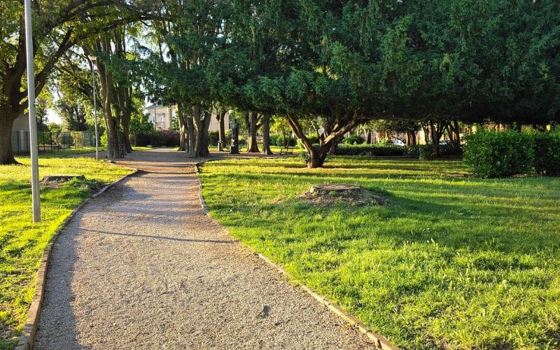 Park King Zvonimir