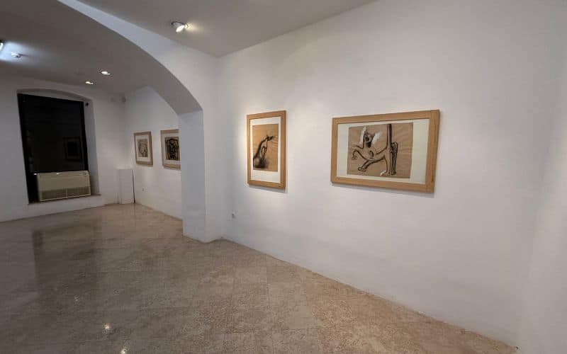 Gallery Rally Pula
