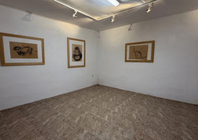 Town Gallery Pula